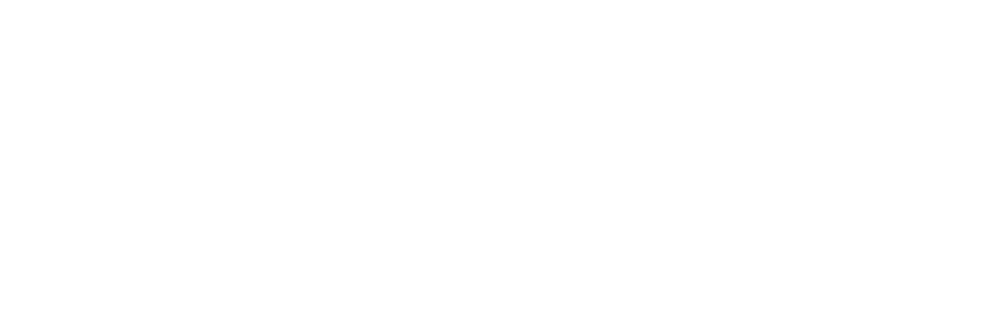 NATIVO Canvas Studio